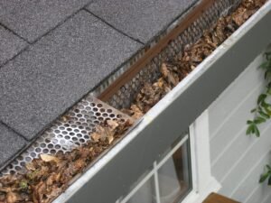 123switch gutter guard ipswich 2434467