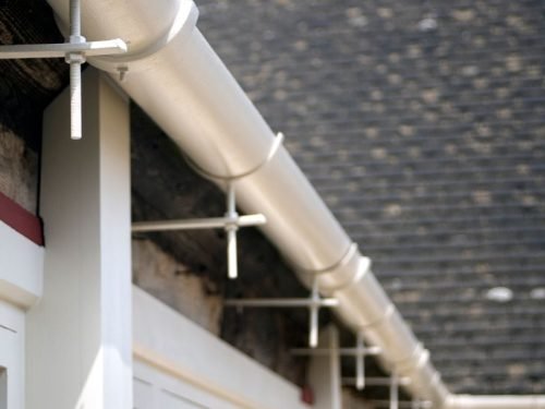 Calheiro em Curitiba